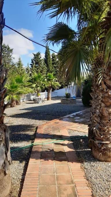 Charming House With Pool & Barbecue Villa Valle de Abdalagís Екстериор снимка